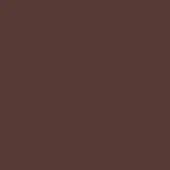 Matte bronze color field, smooth surface, uniform deep brown tone, consistent application, simple composition, standalone visual element.